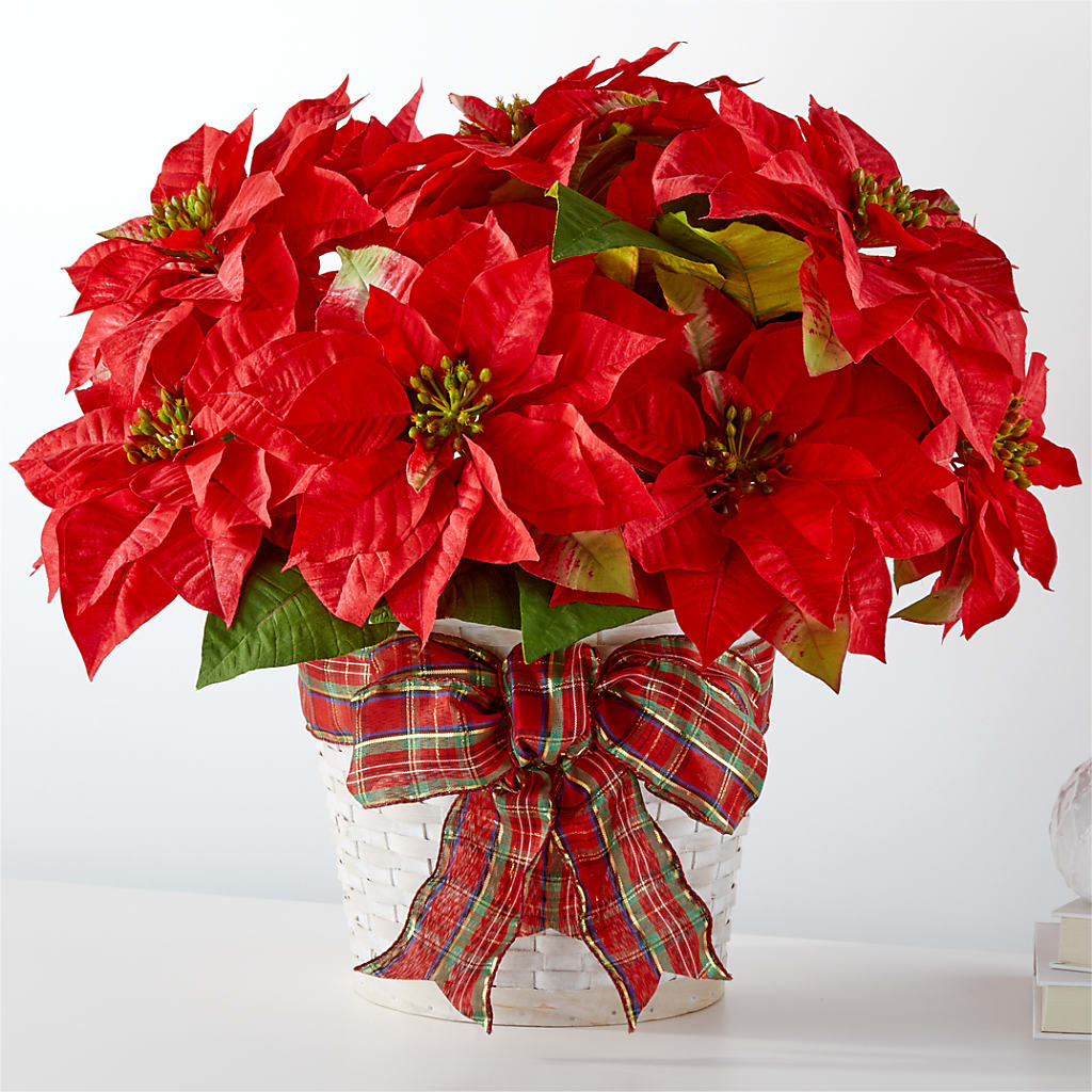 Happiest Holidays Poinsettia – Flowers By Marianne, Newburyport MA