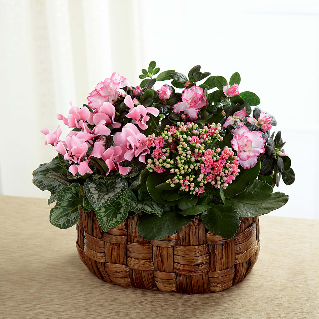 Pink Assortment – Flowers By Marianne, Newburyport MA