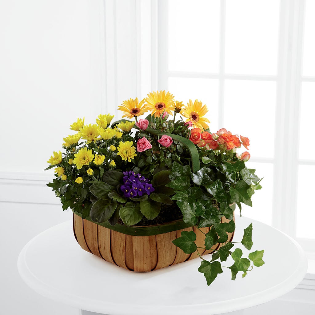 Gentle Blossoms Basket – Flowers By Marianne, Newburyport MA