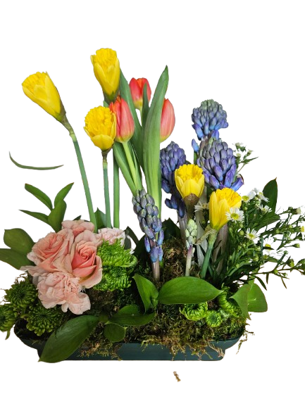 Spring Bulb Blossom Garden – Flowers By Marianne, Newburyport MA
