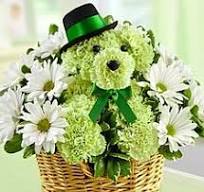 Green Carnation Flower Dog – Flowers By Marianne, Newburyport MA
