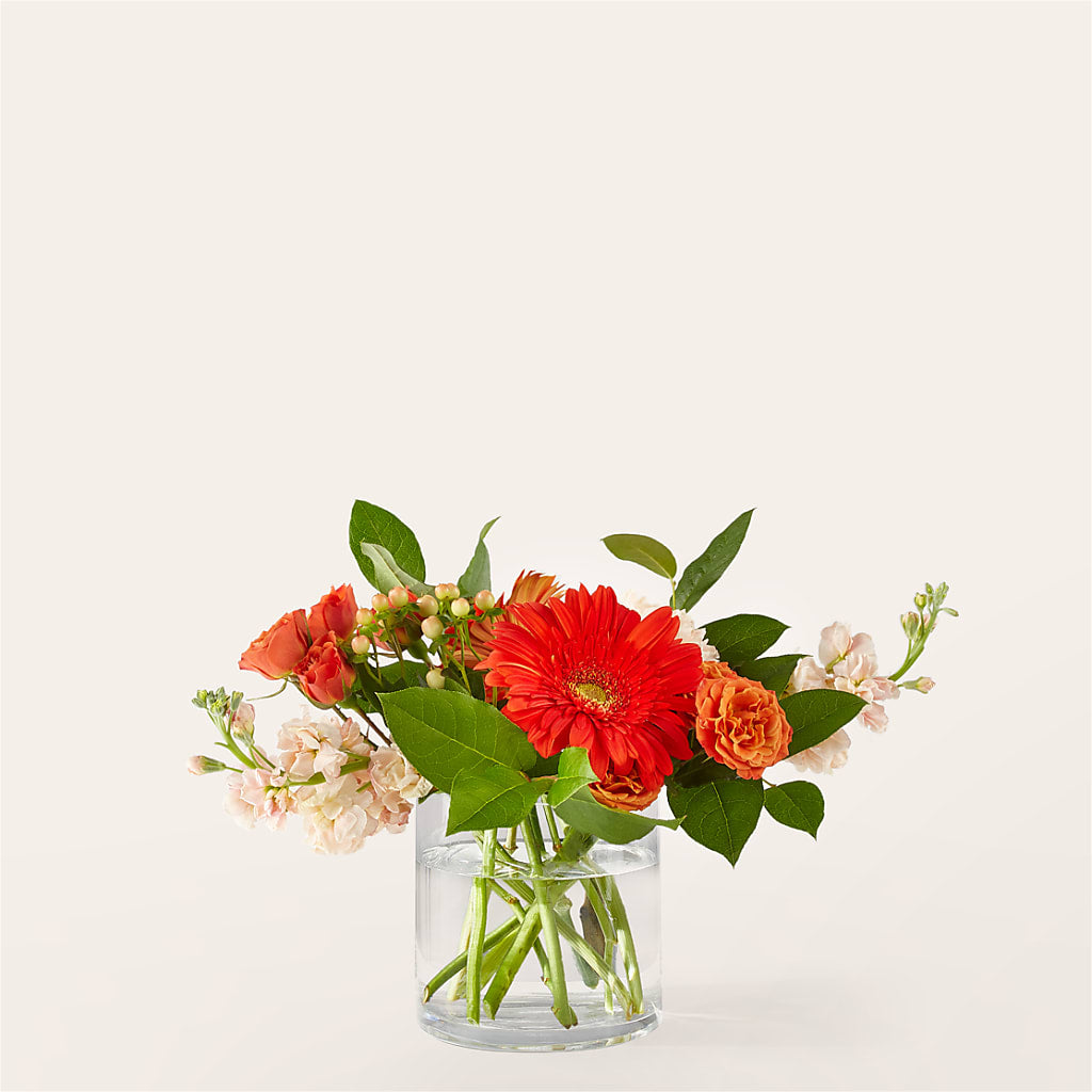 Paloma Please Bouquet – Flowers By Marianne, Newburyport MA