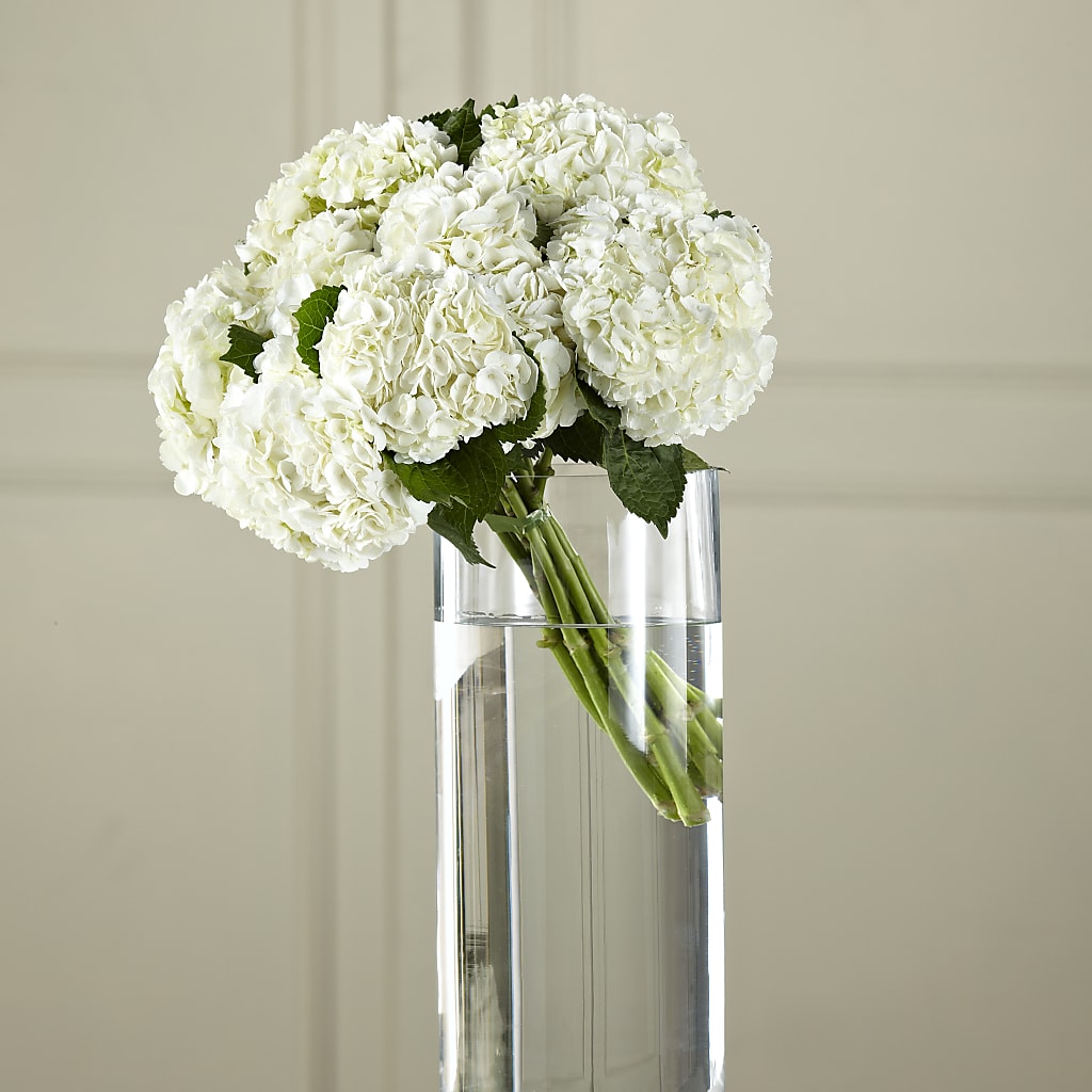 White Hydrangea Hand-Tied Bouquet – Flowers By Marianne, Newburyport MA