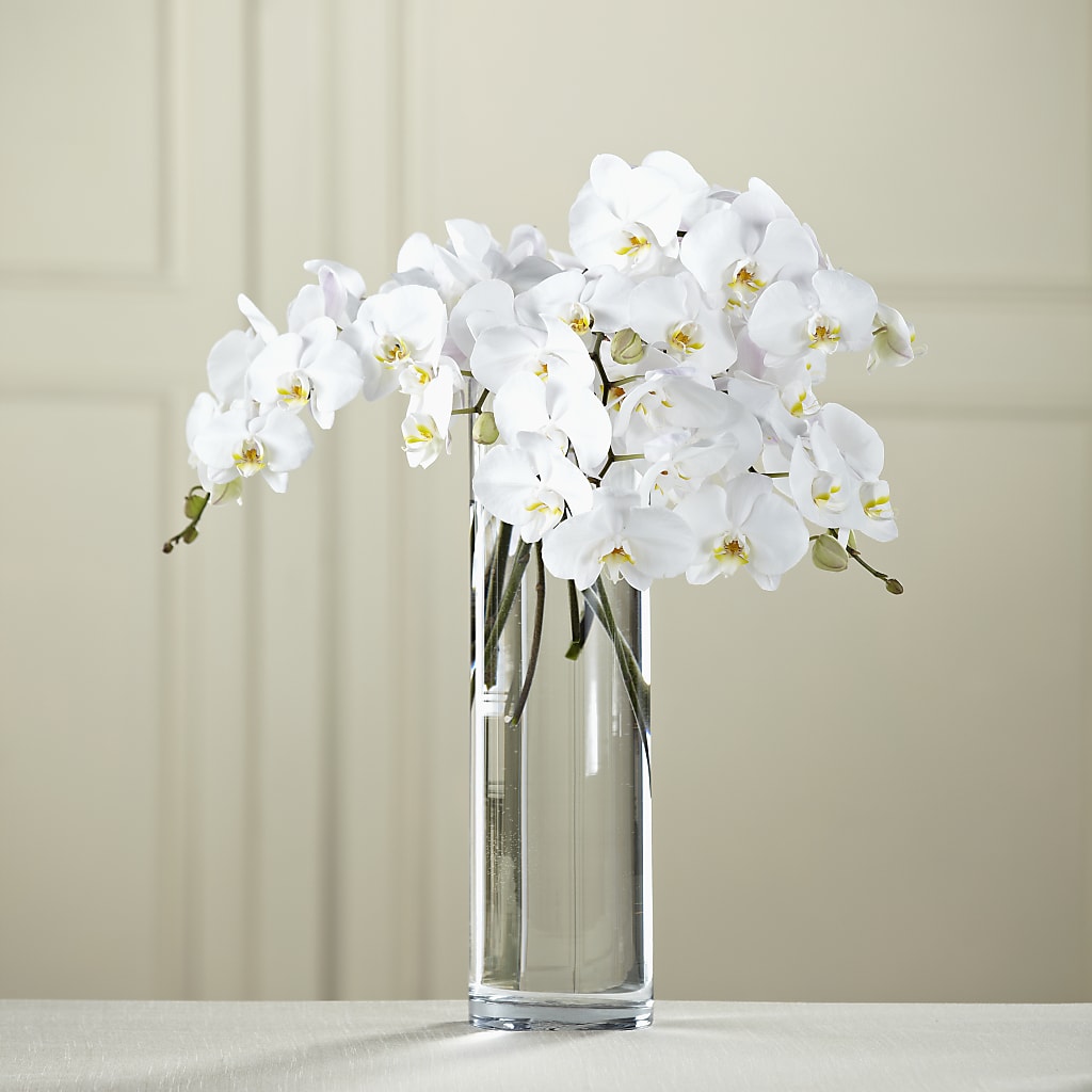 White Phalaenopsis Bouquet – Flowers By Marianne, Newburyport MA