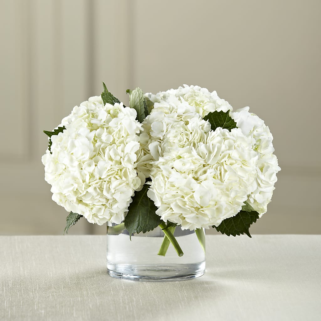 White Hydrangea Bouquet – Flowers By Marianne, Newburyport MA