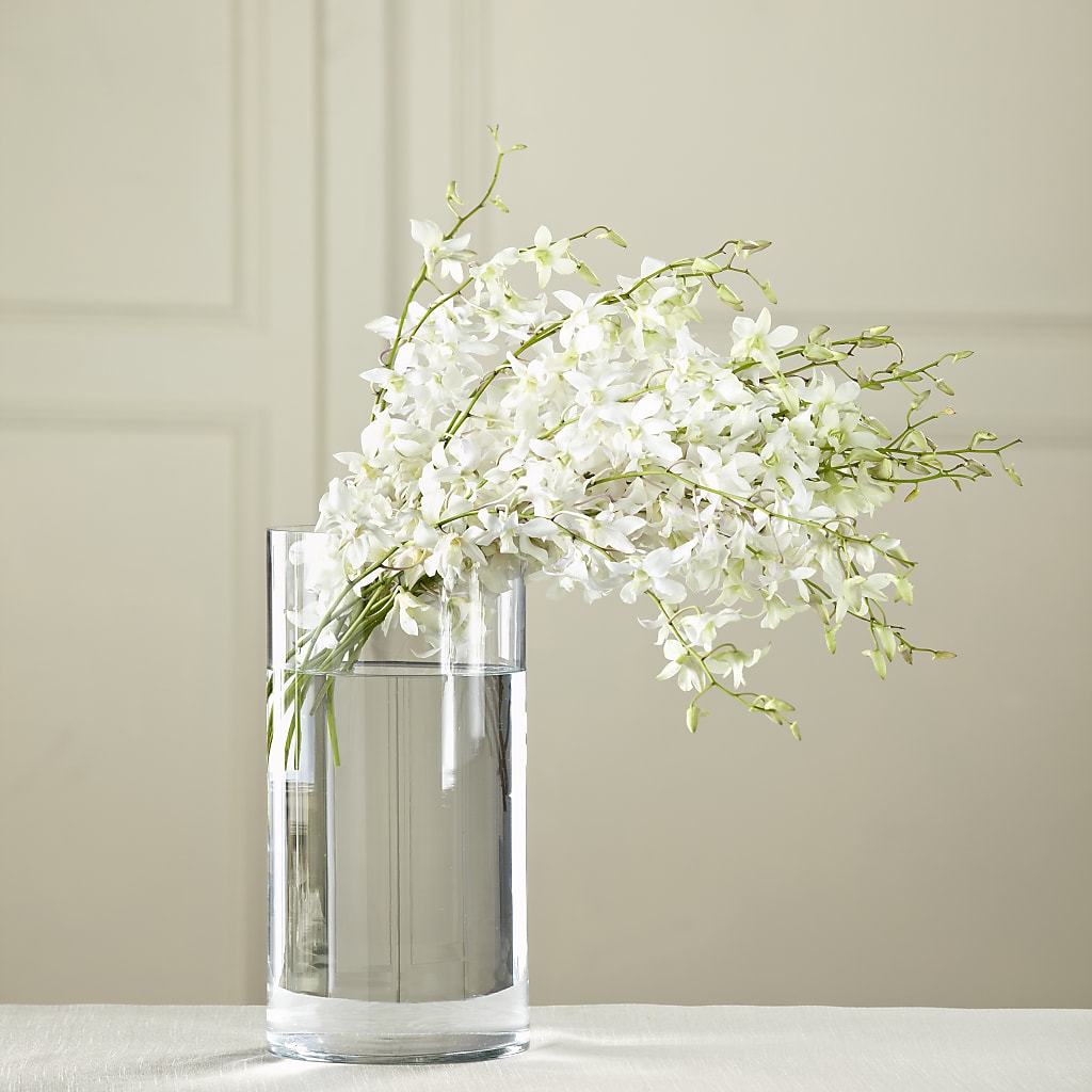 White Dendrobium Bouquet – Flowers By Marianne, Newburyport MA