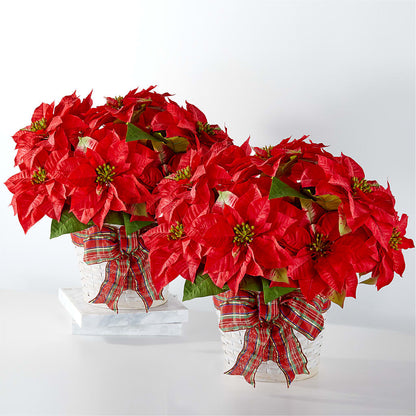 Happiest Holidays Poinsettia Bundle –  Flowers By Marianne, Newburyport MA