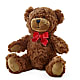 Adorable Plush Bear –  Flowers By Marianne, Newburyport MA