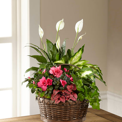 Dream in Pink Dishgarden –  Flowers By Marianne, Newburyport MA