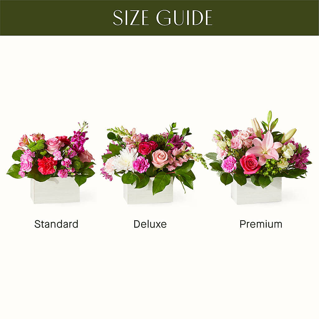Sweetberry Box – A Florist Original –  Flowers By Marianne, Newburyport MA