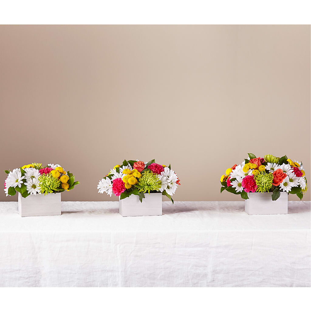Sorbet Bouquet –  Flowers By Marianne, Newburyport MA