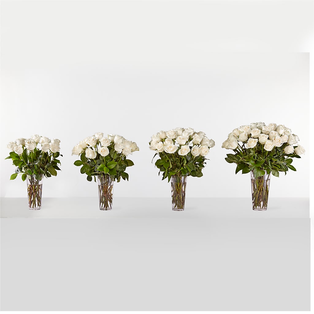 Long Stem White Rose Bouquet –  Flowers By Marianne, Newburyport MA