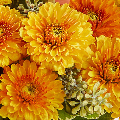 Peachy Pumpkin –  Flowers By Marianne, Newburyport MA