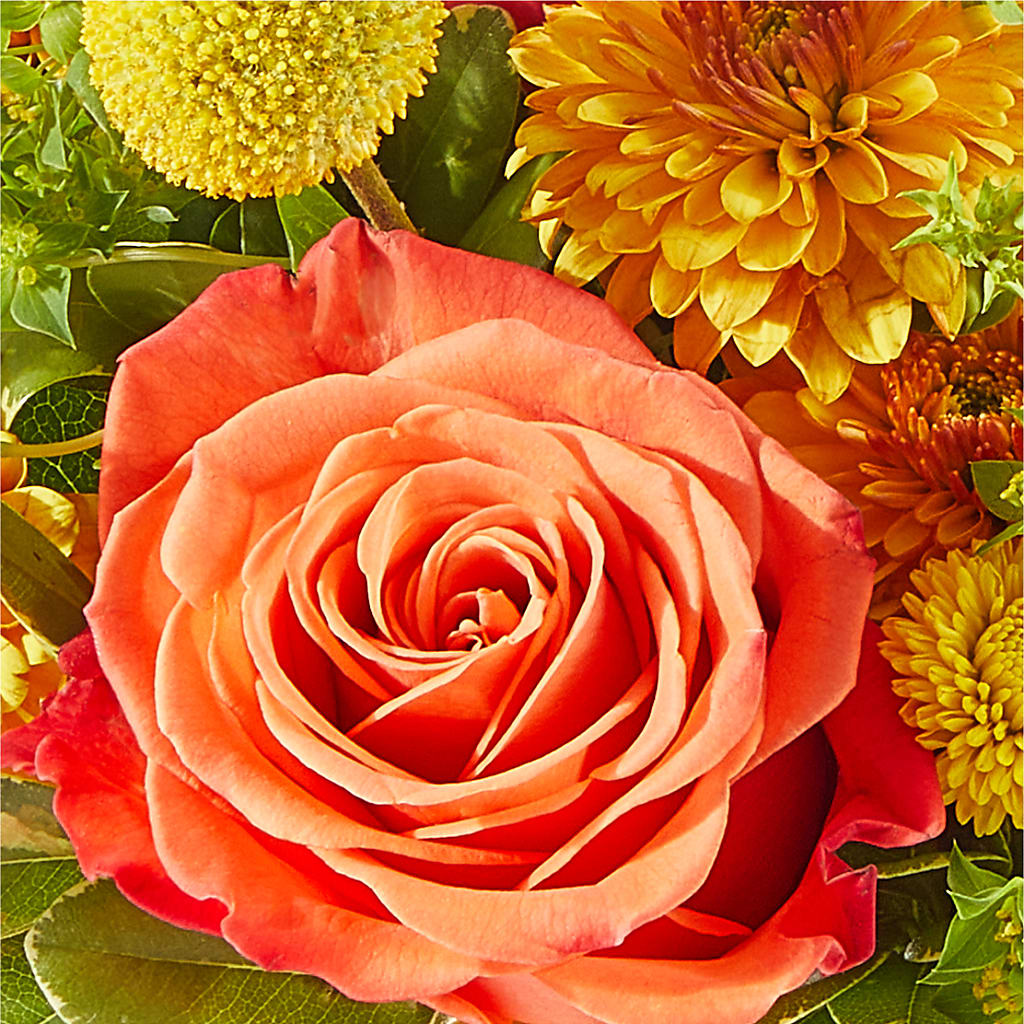 Gourdgeous Pumpkin –  Flowers By Marianne, Newburyport MA