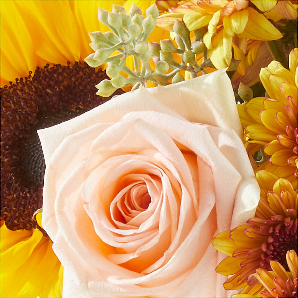 Pumpkin to Talk About Bouquet –  Flowers By Marianne, Newburyport MA