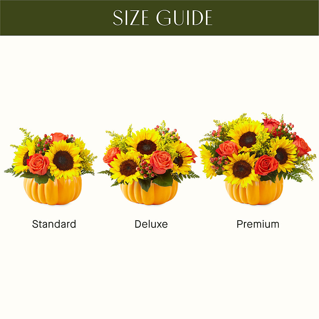 Pick of the Patch Pumpkin Bouquet –  Flowers By Marianne, Newburyport MA