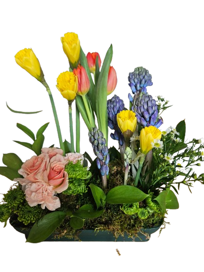 Spring Bulb Blossom Garden –  Flowers By Marianne, Newburyport MA