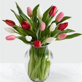 From My Heart Tulips