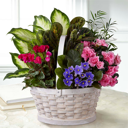 Peaceful Garden Planter –  Flowers By Marianne, Newburyport MA