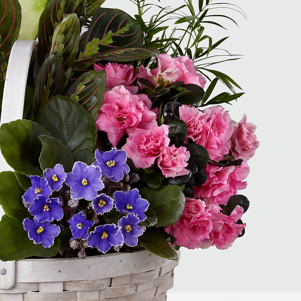 Peaceful Garden Planter –  Flowers By Marianne, Newburyport MA