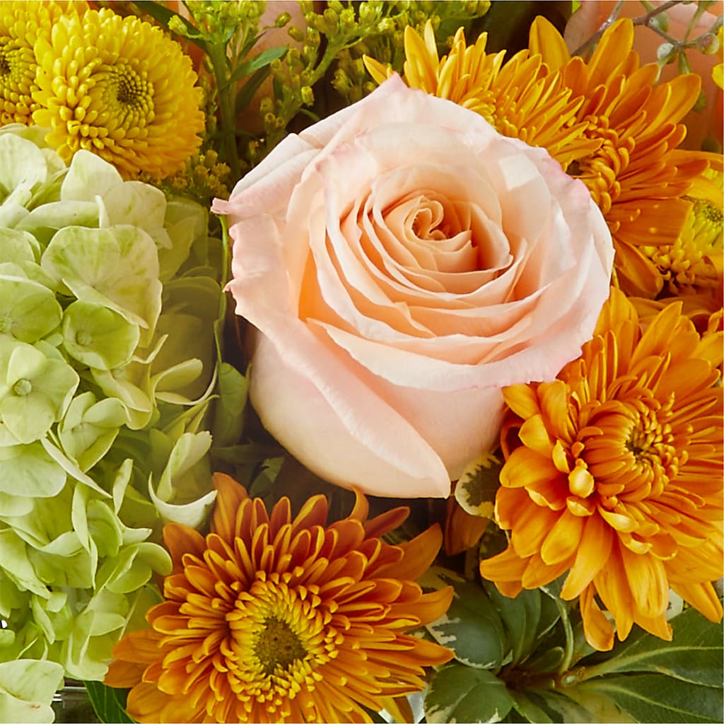 Fall Foliage Bouquet –  Flowers By Marianne, Newburyport MA