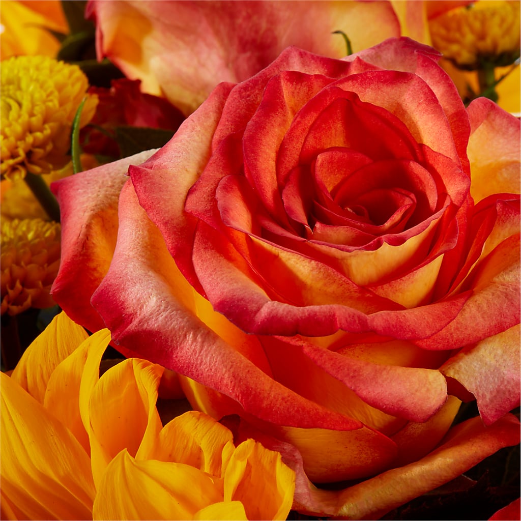 Picnic in the Park Bouquet –  Flowers By Marianne, Newburyport MA