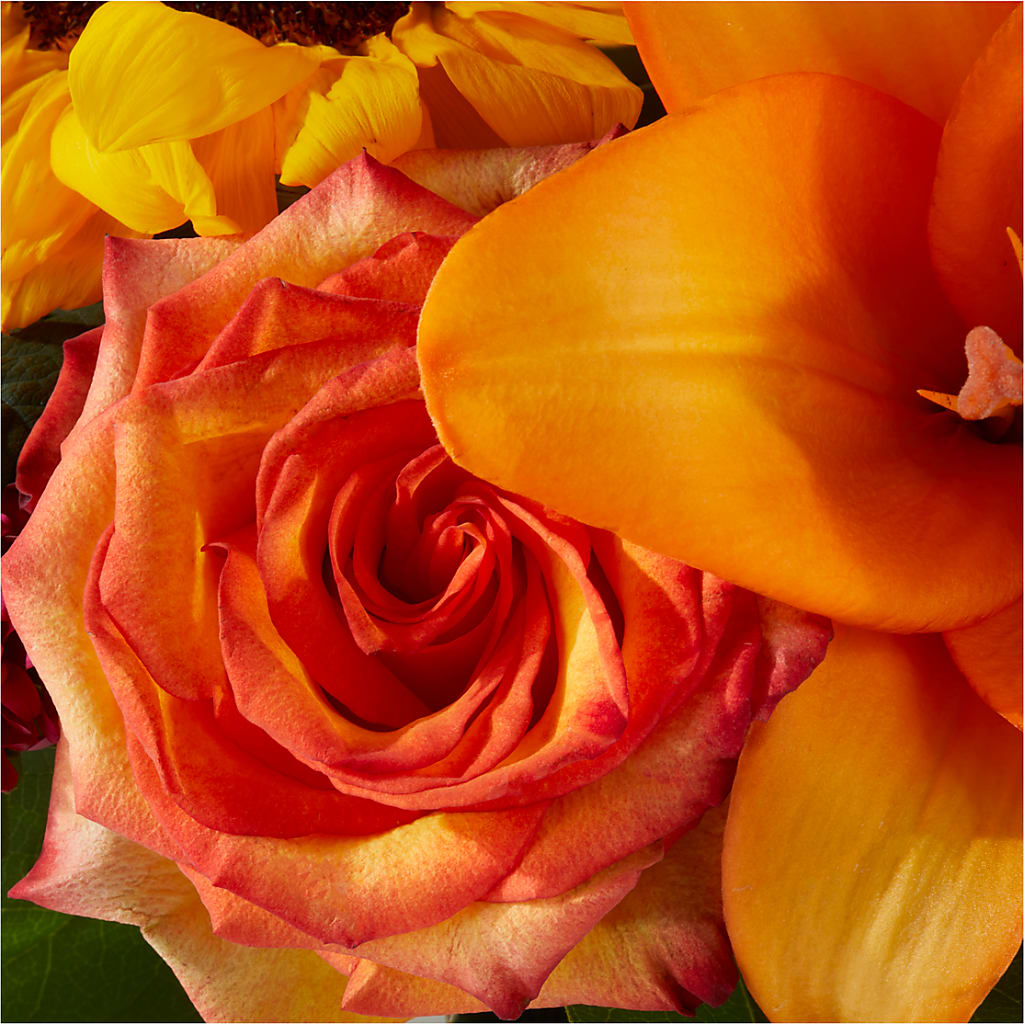Grateful Centerpiece –  Flowers By Marianne, Newburyport MA