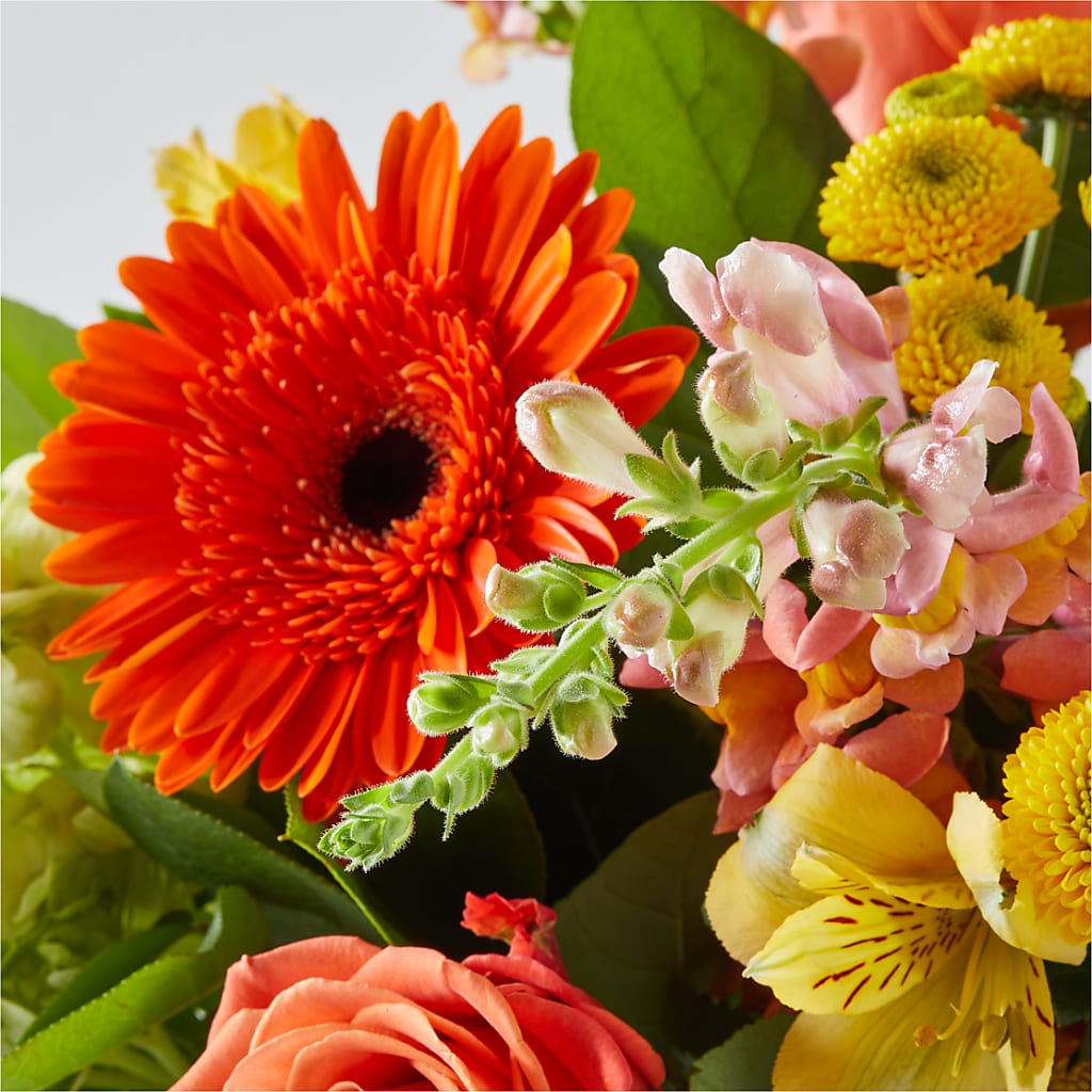 Autumn Sunshine Bouquet –  Flowers By Marianne, Newburyport MA