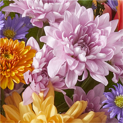Countryside Bouquet –  Flowers By Marianne, Newburyport MA