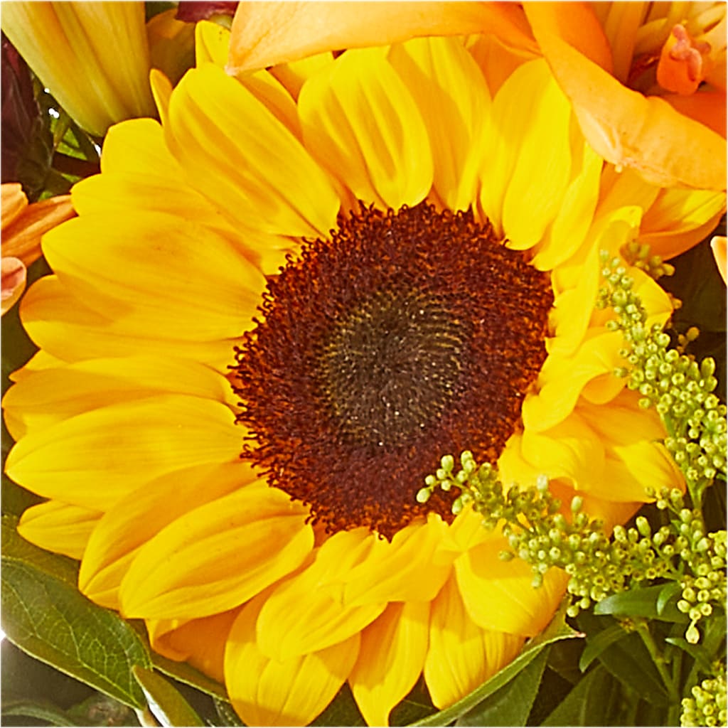 Seasons Change Bouquet –  Flowers By Marianne, Newburyport MA