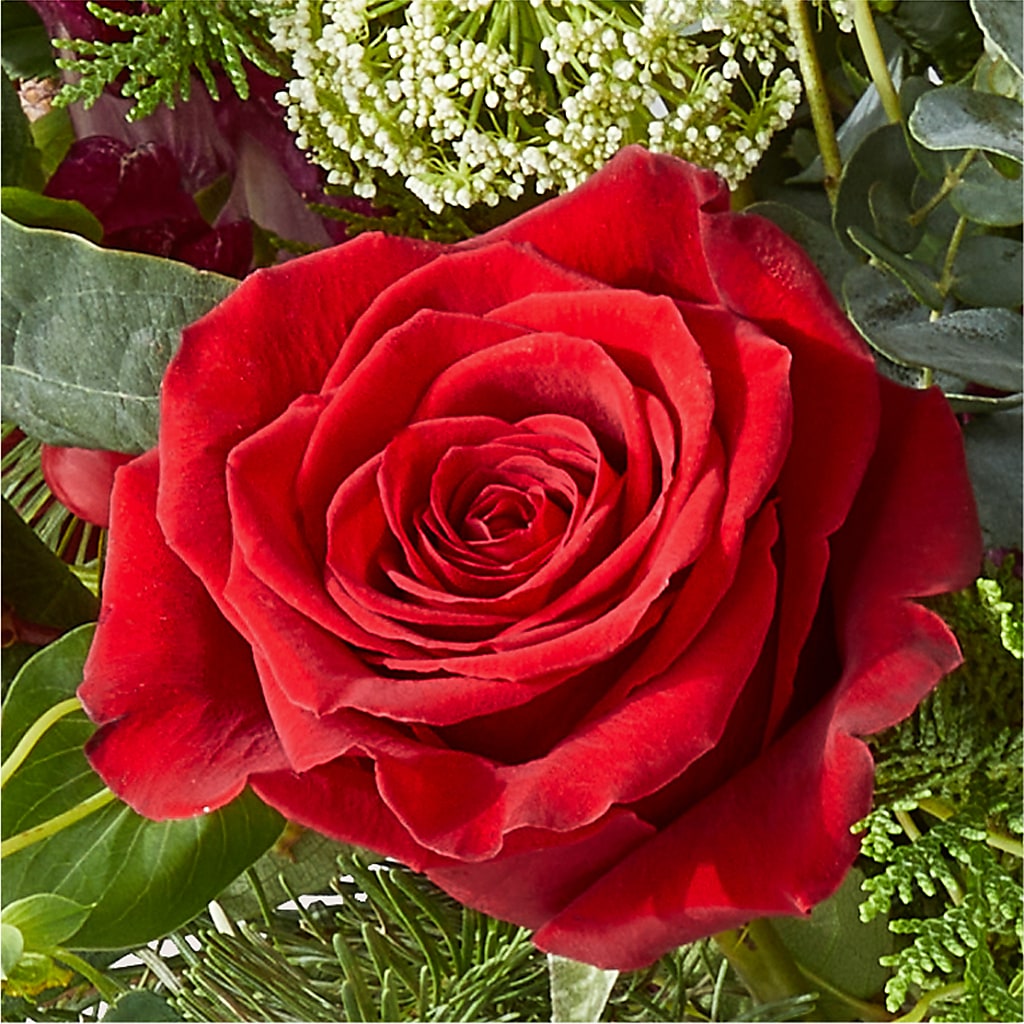 Cranberry Fizz Bouquet –  Flowers By Marianne, Newburyport MA