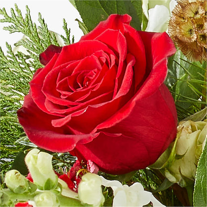 Deck the Halls Bouquet –  Flowers By Marianne, Newburyport MA