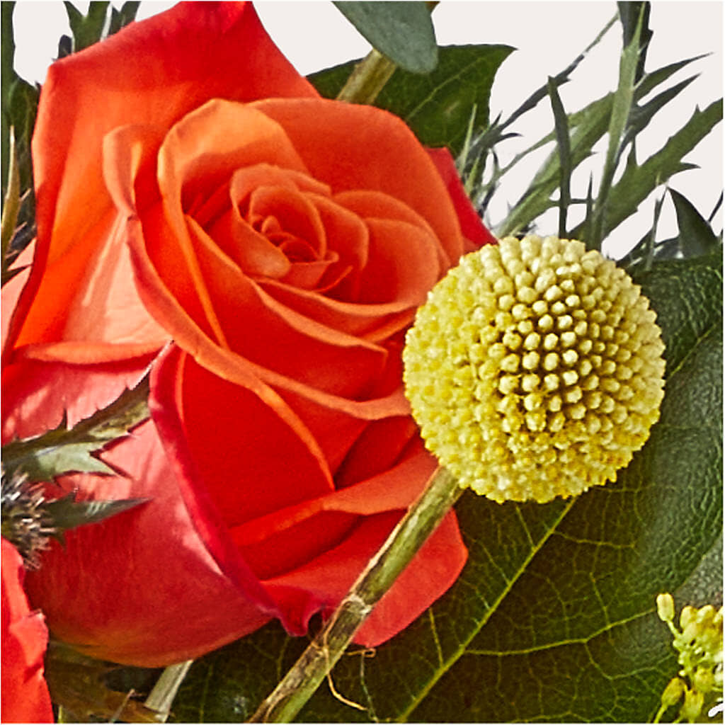 Disco Bouquet –  Flowers By Marianne, Newburyport MA