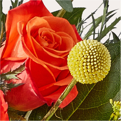Disco Bouquet –  Flowers By Marianne, Newburyport MA