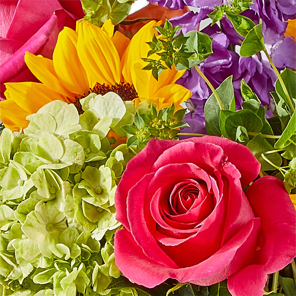 Vibrant Greetings Bouquet –  Flowers By Marianne, Newburyport MA
