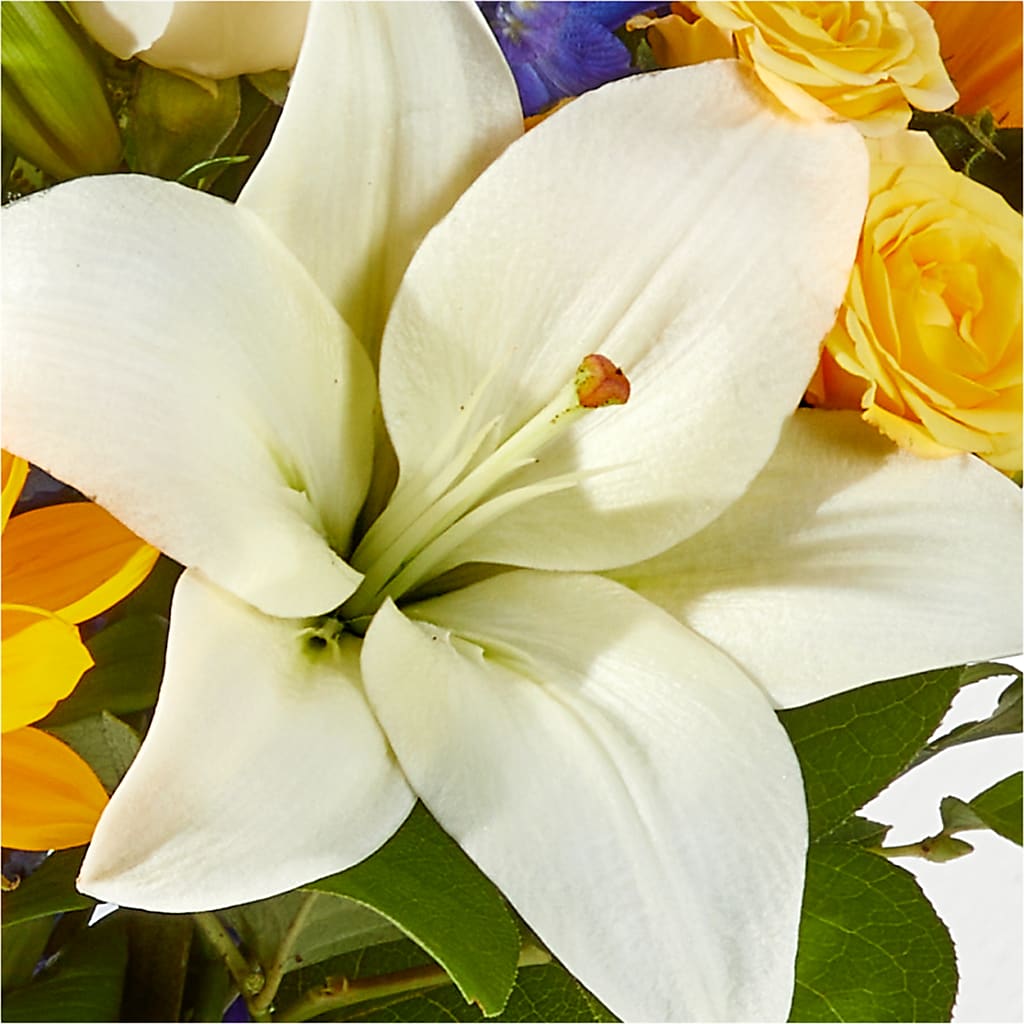 Wonderfully Sunny Bouquet –  Flowers By Marianne, Newburyport MA