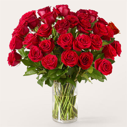 The One Red Rose Bouquet –  Flowers By Marianne, Newburyport MA