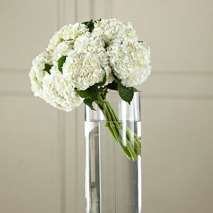 White Hydrangea Hand-Tied Bouquet –  Flowers By Marianne, Newburyport MA
