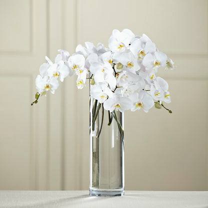 White Phalaenopsis Bouquet –  Flowers By Marianne, Newburyport MA