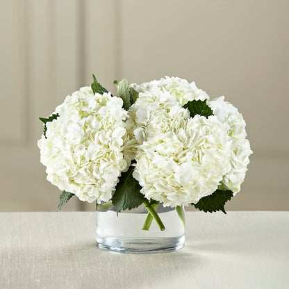 White Hydrangea Bouquet –  Flowers By Marianne, Newburyport MA